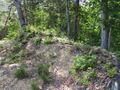 Thumbnail for version as of 16:33, 7 July 2024