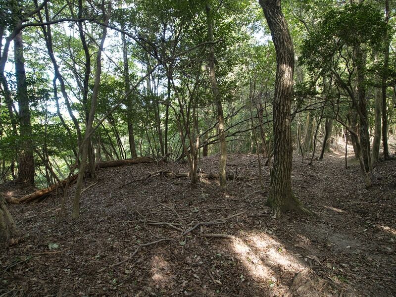 File:Ichijojiyama10.jpg
