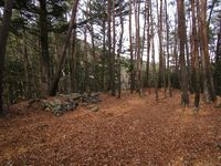 Ina-Konishijō (6).JPG