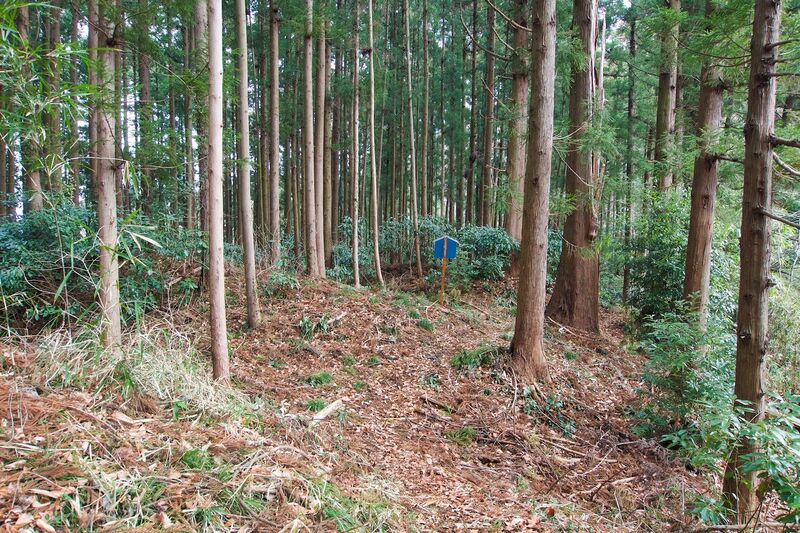 File:Matsuida20.jpg