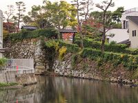 Mihara2.jpg