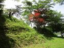 MikawaKameyamajou (1).JPG