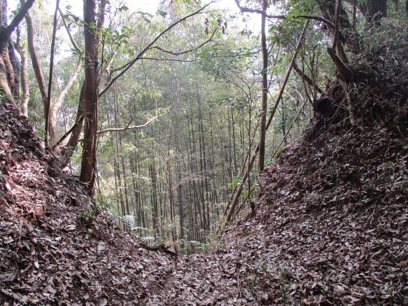 File:MinoGongen010.jpg