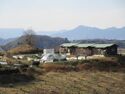 Nagaune-toride03.3.JPG