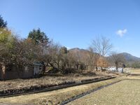 ShiodaTedzukaYakata (2).JPG