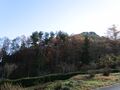 Thumbnail for version as of 12:20, 28 November 2020