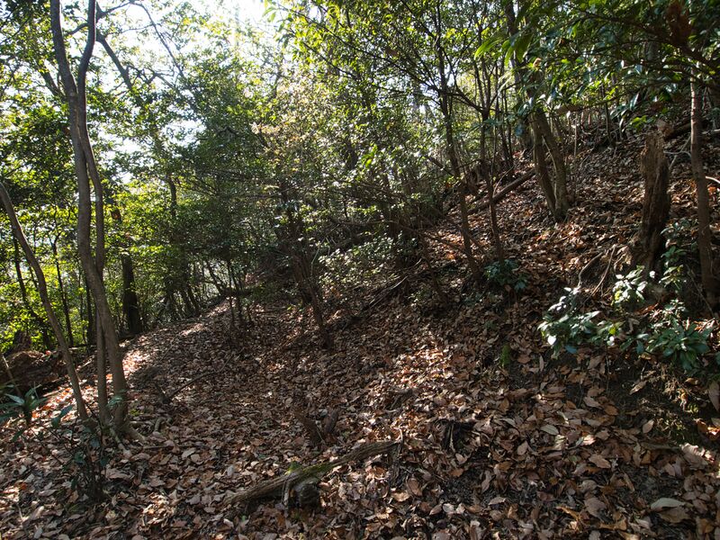 File:Shogunyama31.jpg