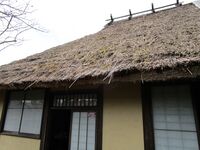 TanbaSasayamaSatouBukeyashikiART (4).JPG