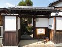 Yoshiihikone1.jpg