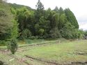 AkizukihanMinamiGoten (5).JPG