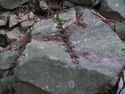Heda quarry62.jpg