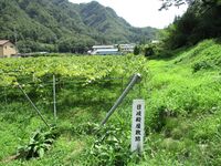 HikidonoYashiki (1).JPG