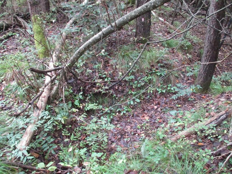 File:Joumineyamajou (11).jpg