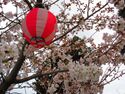 Kaminagaharajou (1).JPG