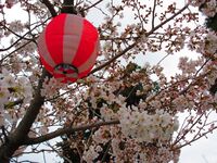 Kaminagaharajou (1).JPG