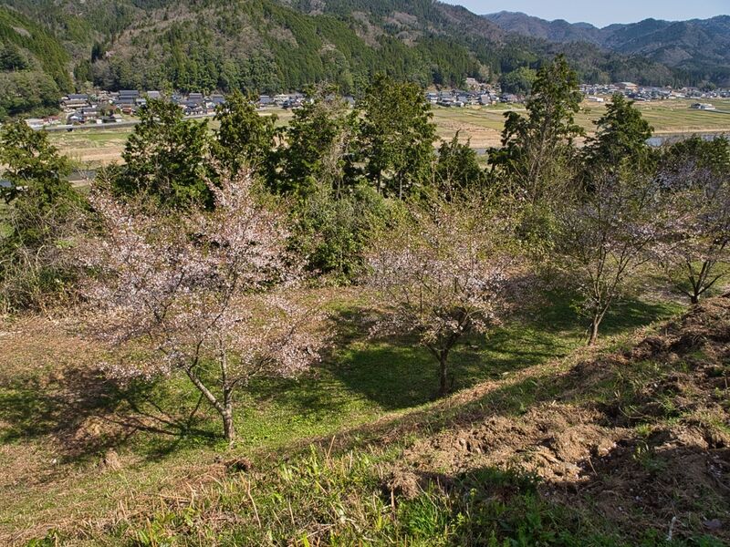 File:Kanbayashi10.jpg