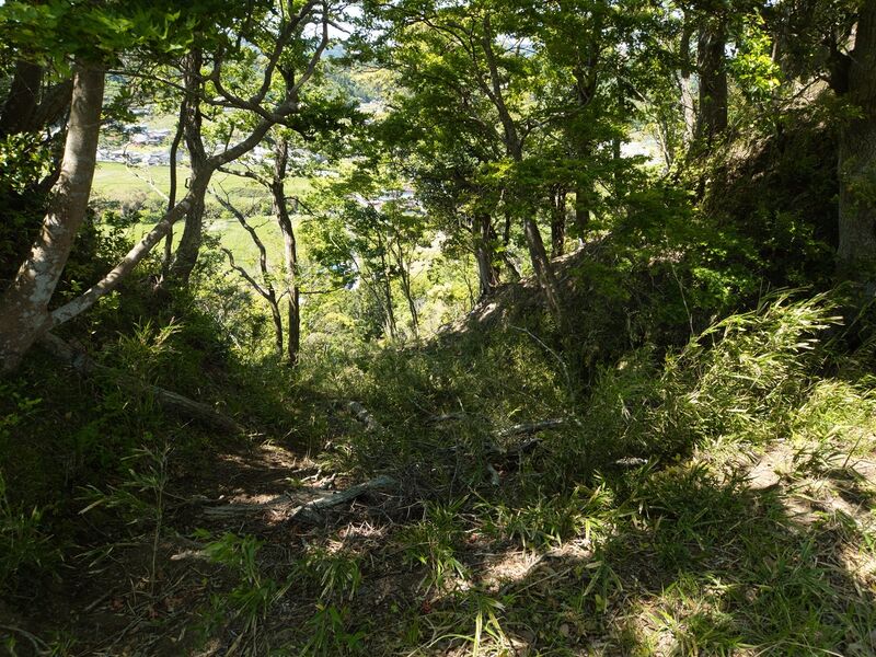 File:Kururi10.jpg