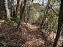 Mikoshiyama11.jpg