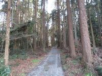 MinamiSakaidejou (6).JPG