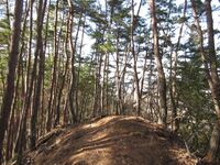 ShiodajouNishibouruigun (14).JPG