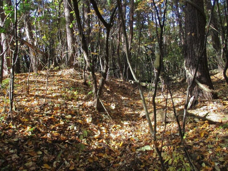 File:Wakatsukiyamajou (33).jpg