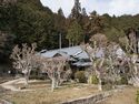 Yagyukaroyashiki35.jpg