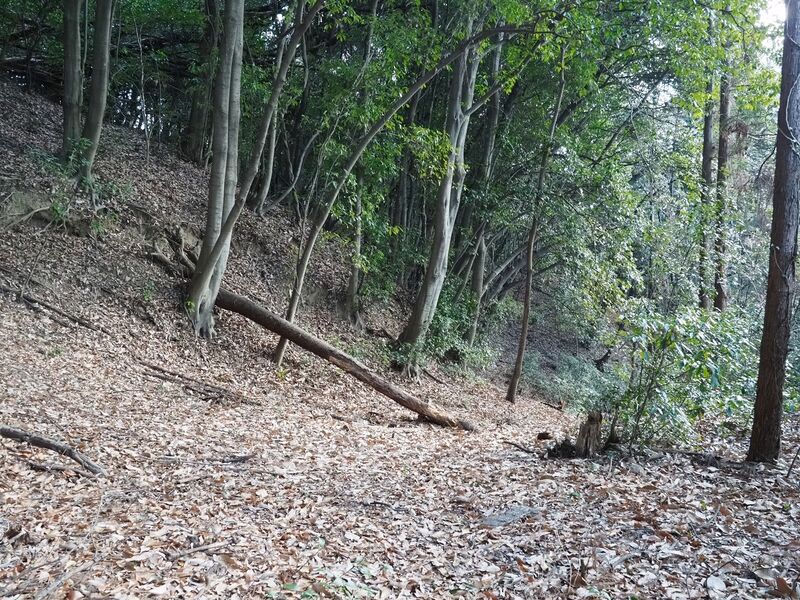 File:Yamana34.jpg