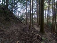 Yoshidakoriyama19.jpg