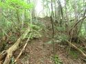 BingoKouyamajou (7).JPG