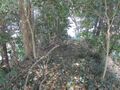 Thumbnail for version as of 13:49, 4 August 2024