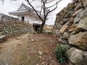Hamamatsu27.jpg