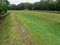 ItazukeKangoushuuraku (21).JPG