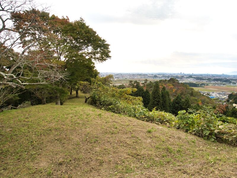 File:Iwakiri7.jpg