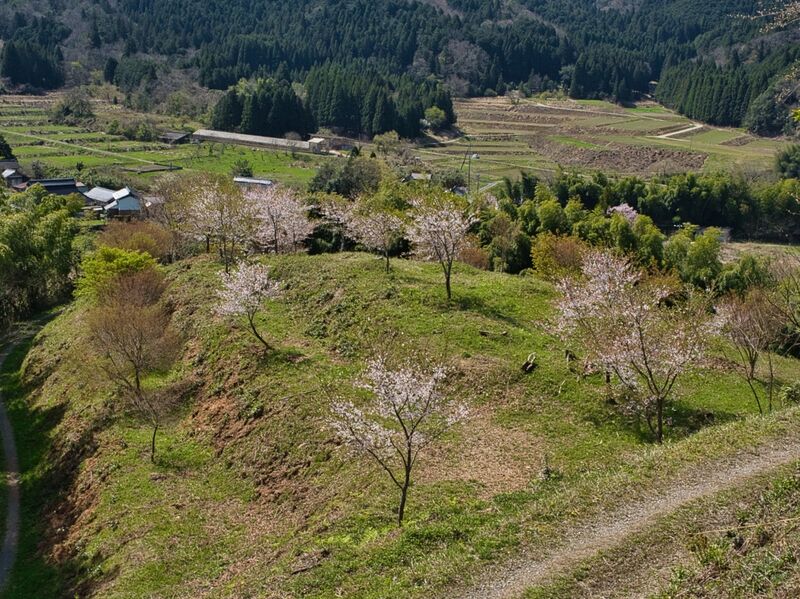 File:Kanbayashi31.jpg