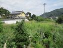 KubodonoYashiki (4).JPG