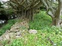 Nanzan Castle Ray 6.jpg