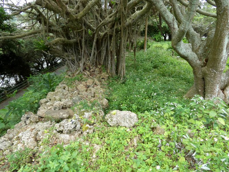 File:Nanzan Castle Ray 6.jpg