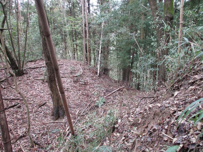 File:NorisadaKobatajou (3).jpg
