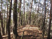 ShiodajouNishibouruigun (3).JPG