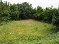 Shiroi32.jpg