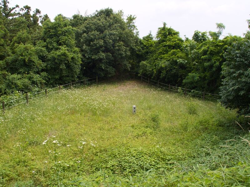 File:Shiroi32.jpg