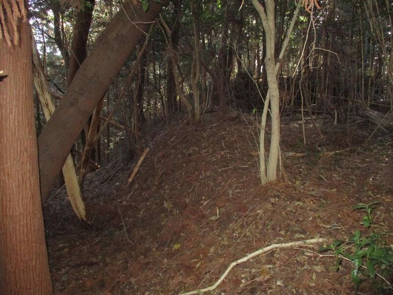 File:ShitaraNodajou (40).jpg