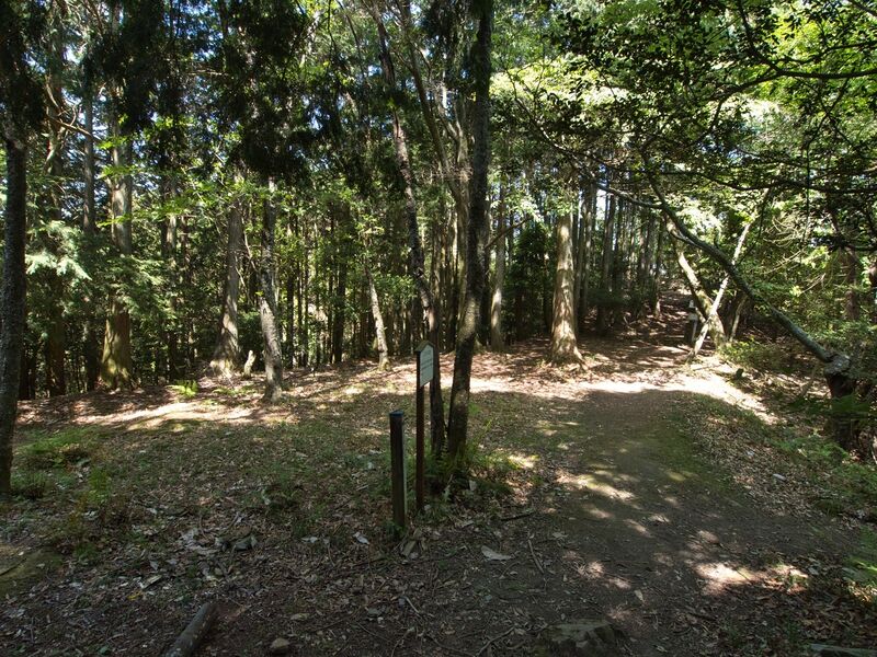 File:Yagitanba11.jpg