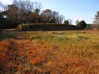 AichiOhkusajou010.jpg
