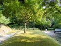 Gifu50.jpg