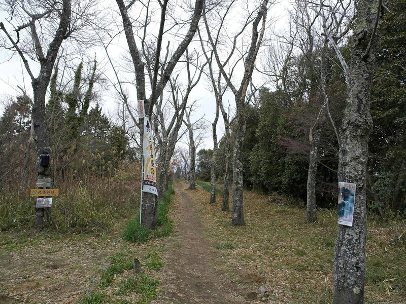 File:Iimori30.jpg