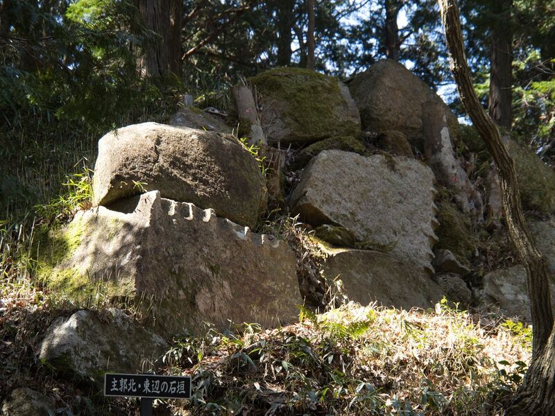 File:Mikumokoka30.jpg