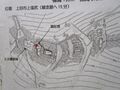 Thumbnail for version as of 21:48, 22 December 2020