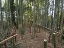 Takenaka12.jpg