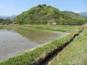 AzumiNishiyama (2).JPG